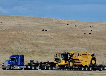  Powering in Battersea Great